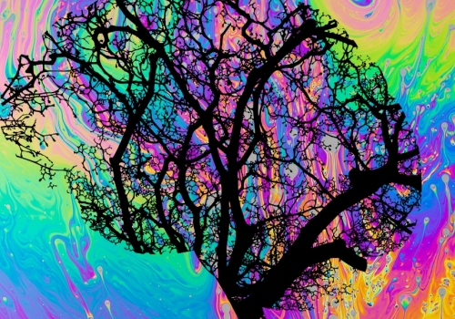 Self-awareness and psychoactive substances